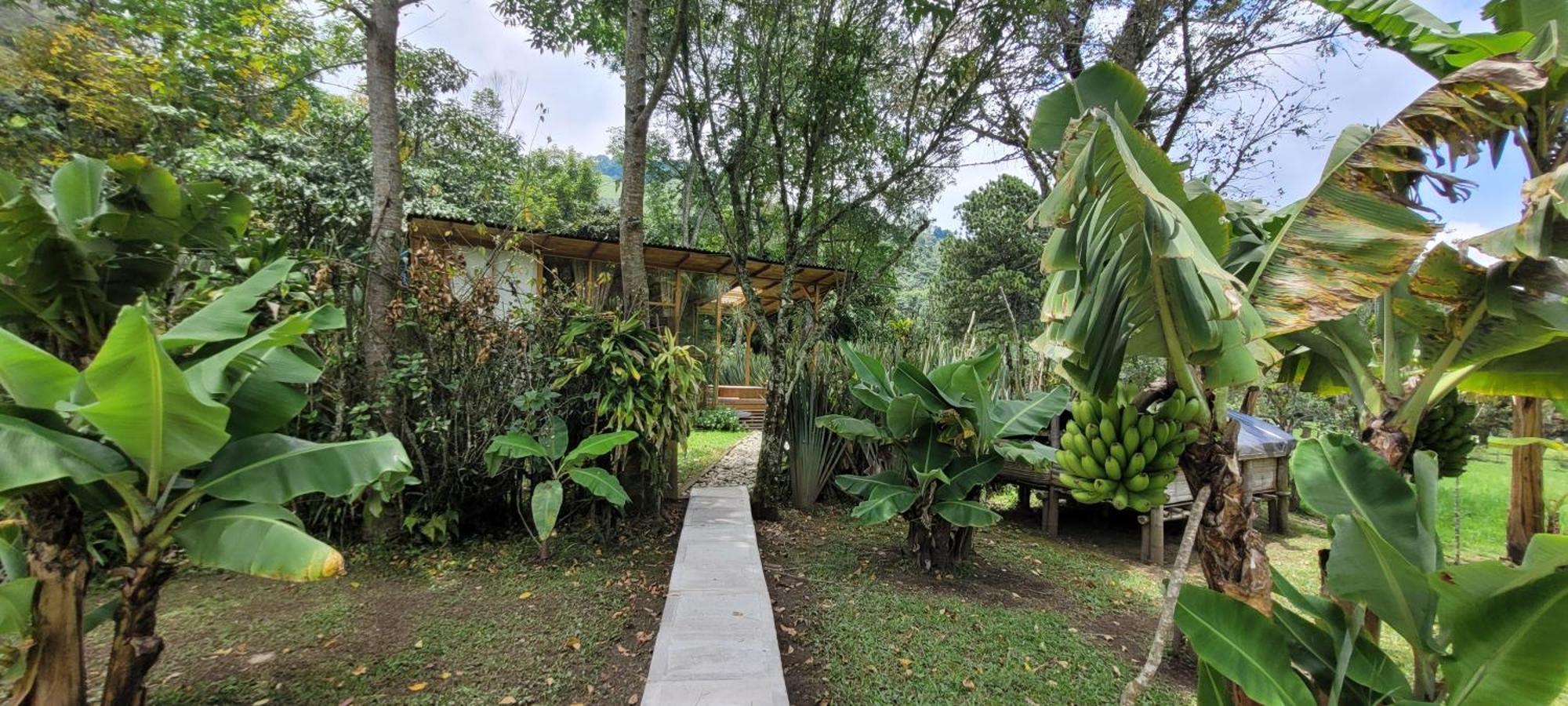 Villa Exclusivo Cocora Con Jacuzzi Salento Quindio Exterior foto